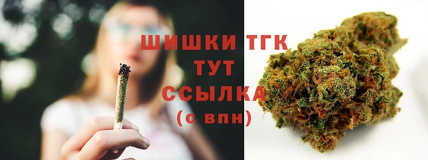 бошки Горняк