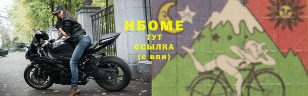 молекула духа Кадников