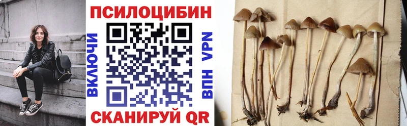 Псилоцибиновые грибы ЛСД  Дальнереченск 