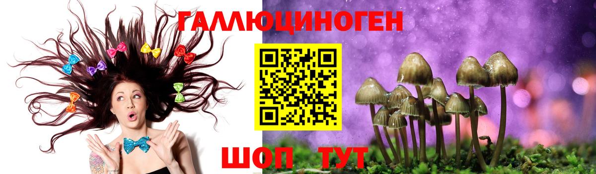 Псилоцибиновые грибы Magic Shrooms  Вход с VPN  Дальнереченск 
