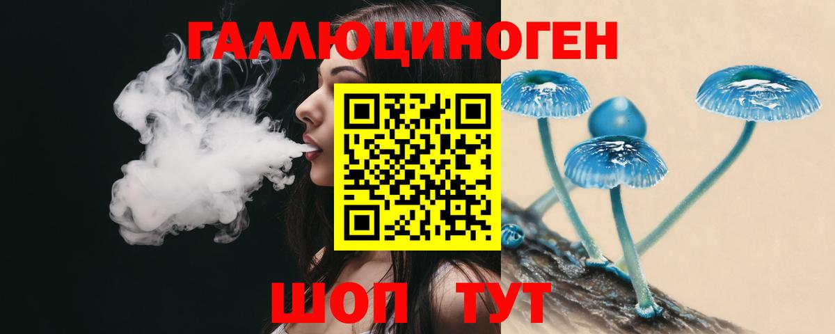 Галлюциногенные грибы GOLDEN TEACHER Дальнереченск